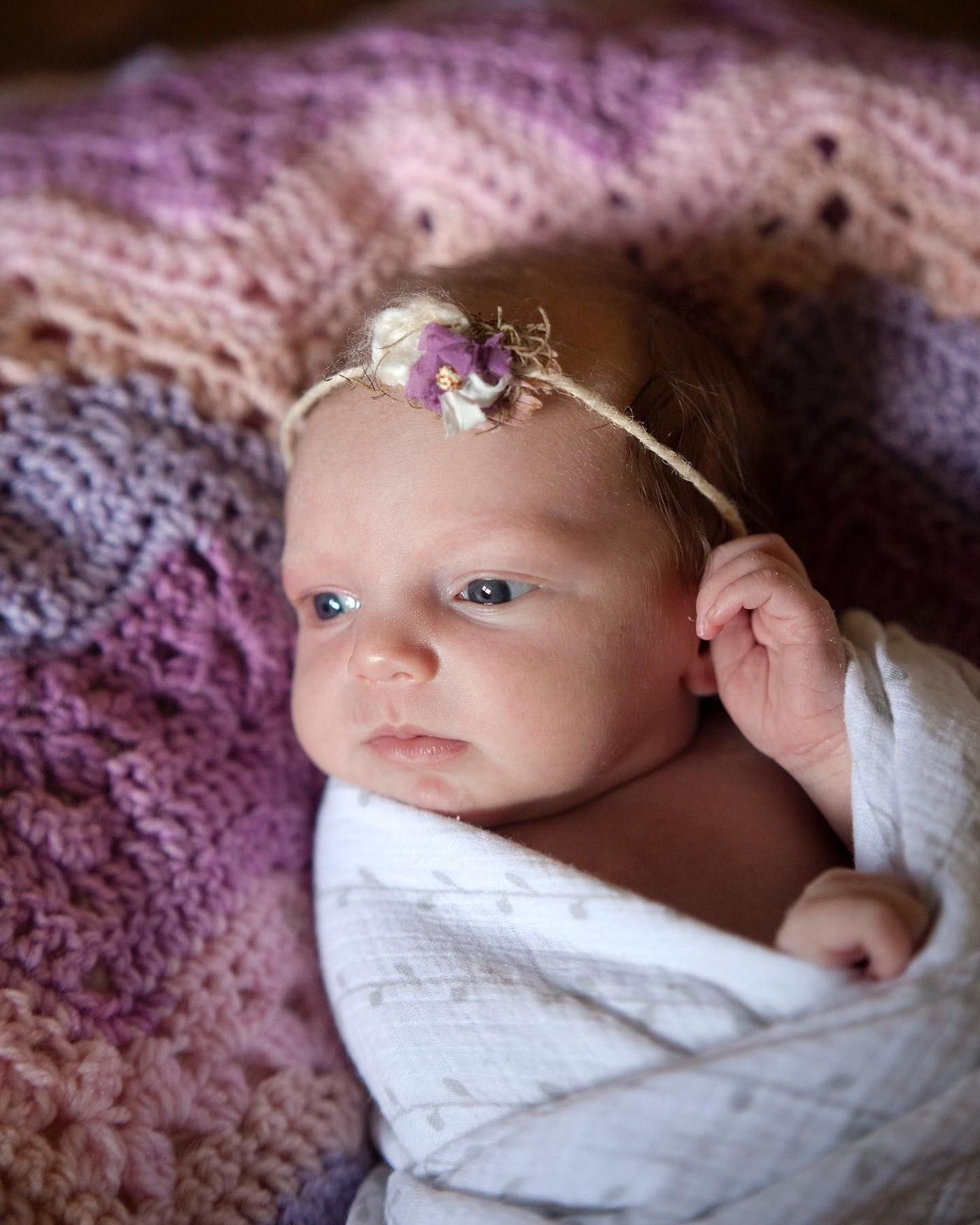 Introducing Aria Josephine!
