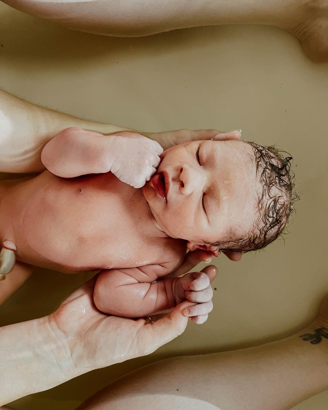 Happy NEW YEAR! ✨2026✨